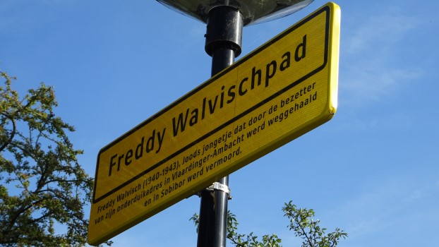 231006 Freddy Walvisch4